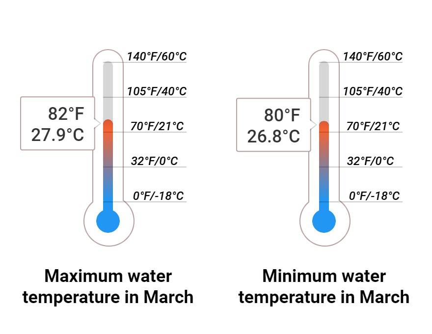 What to do in March in Jamaica 2025 Winter Sun Expert